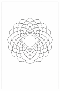 Schwarze Mandala mit Blütenblättern